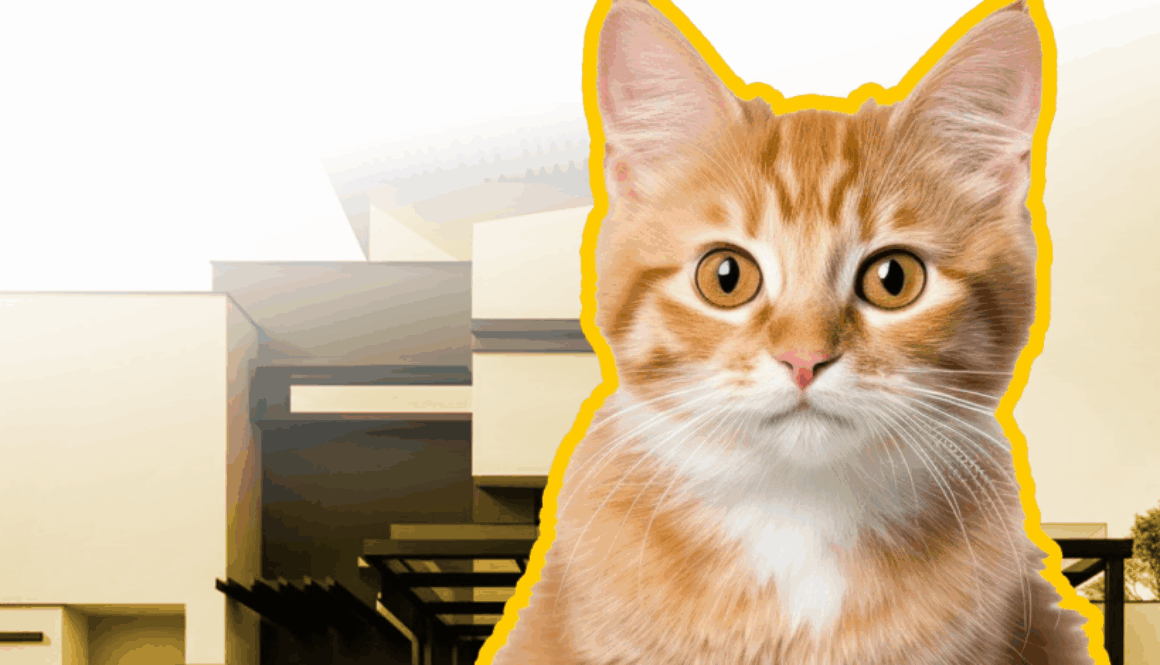 2FEEDS - Rekomendasi Anti kucing