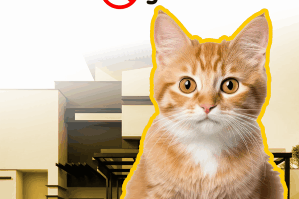 2FEEDS - Rekomendasi Anti kucing